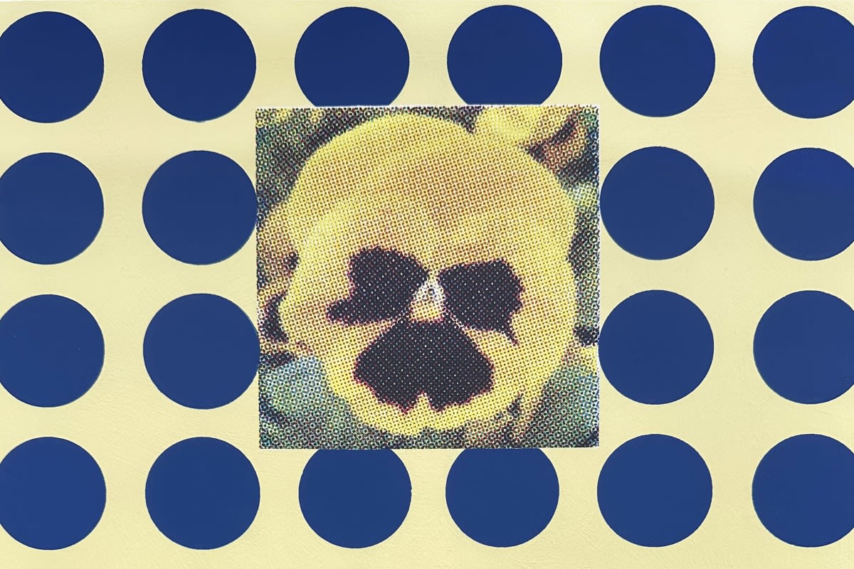 Chris Glabb | Spotted With Pansies