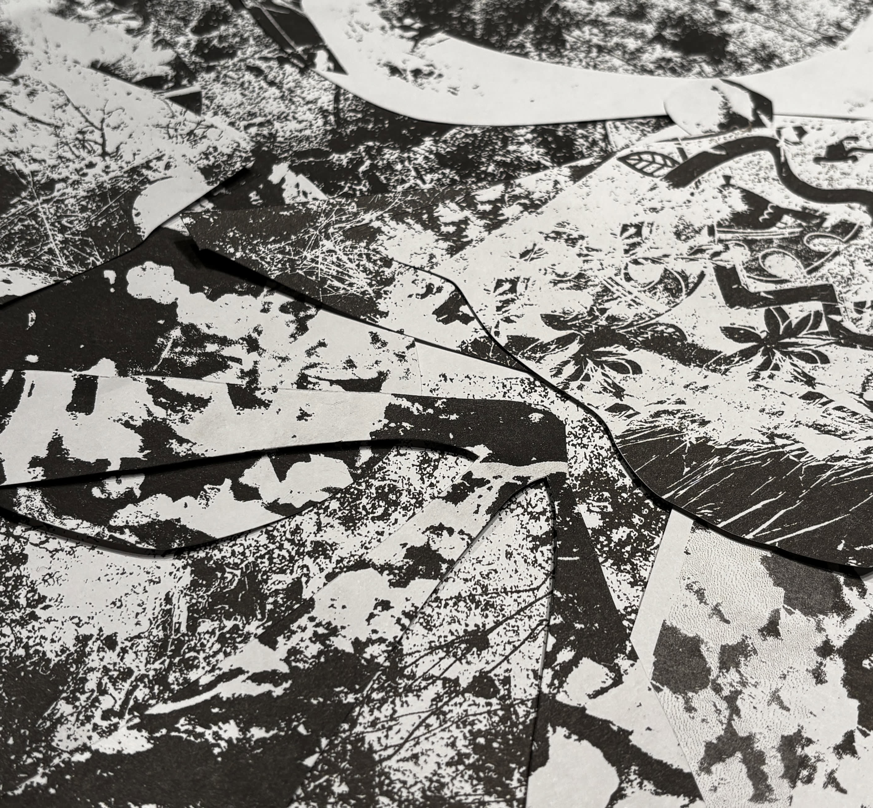 A Fog That Won't Burn Away