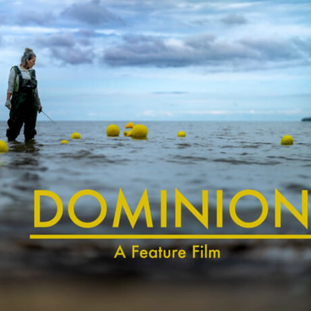 Dominion Bawaadan Collective