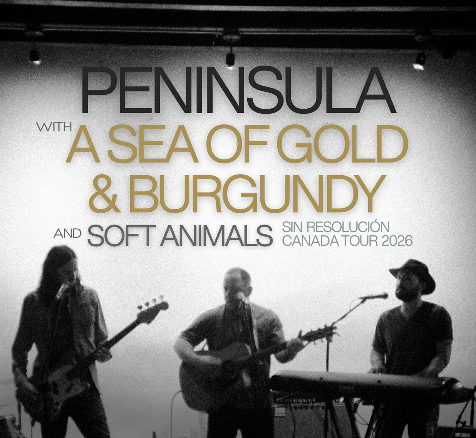 A Sea of Gold and Burgundy, Peninsula and Soft Animals