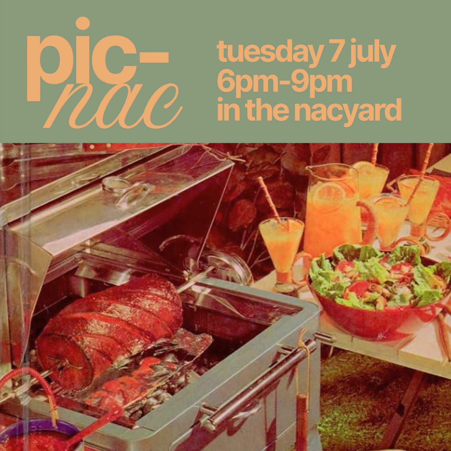 PICNAC 2026: A NAC Member Picnic!