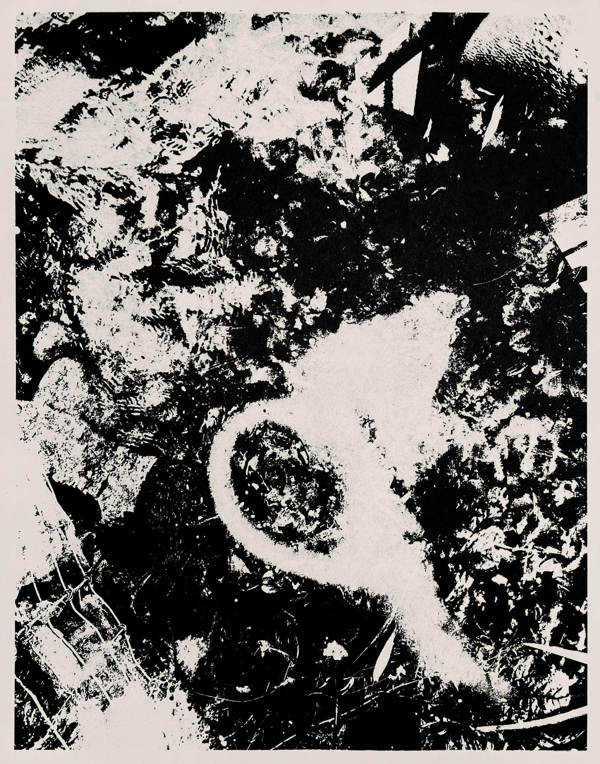 A Fog That Won't Burn Away