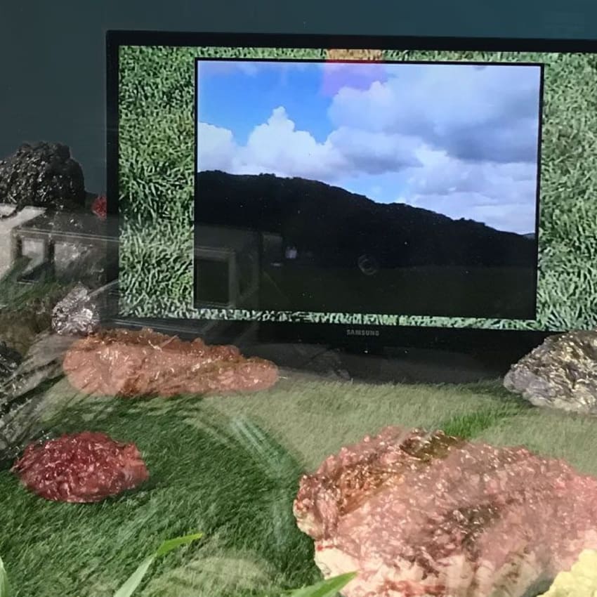 Rocks & TV