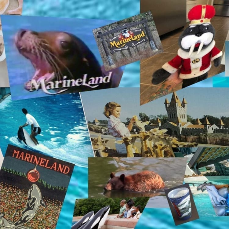 What Comes Next? A Project About Marineland