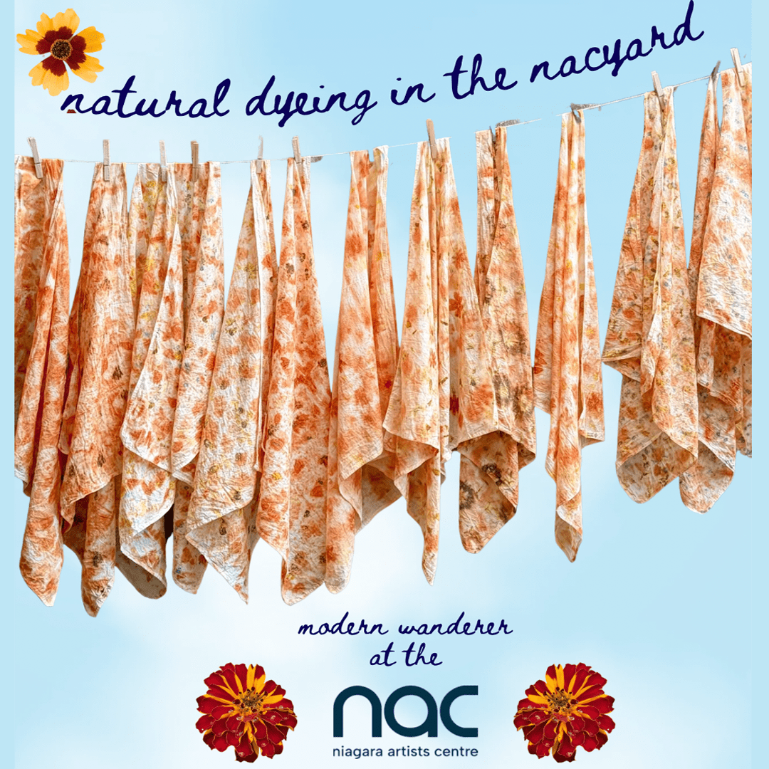 Natural Dyeing in the NACyard!