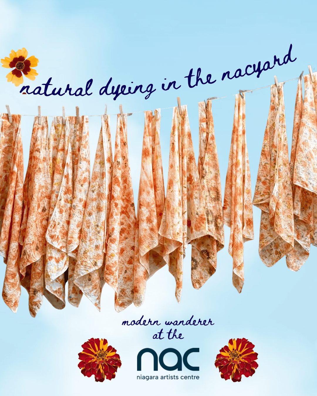 Natural Dyeing in the NACyard!